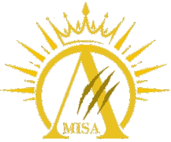 AmisA
